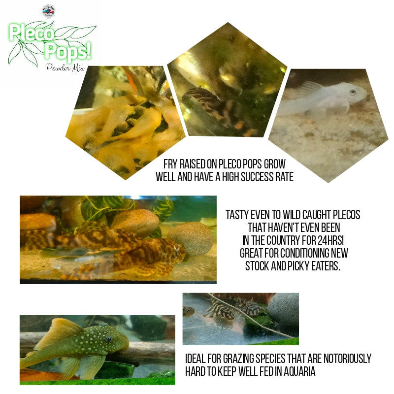 Pleco Pops! Powder Mix Gel Fish Food - 40g