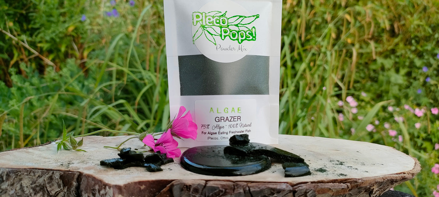 Pleco Pops! Powder Mix © Algae Grazer