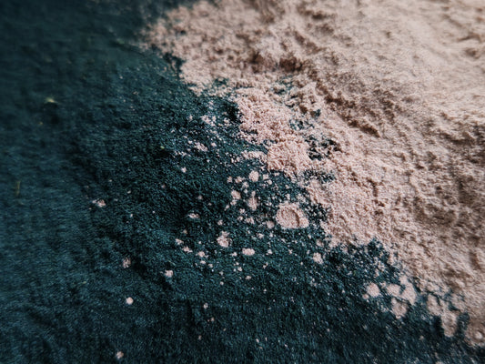 Pleco Pops! Powder Mix Gel Fish Food - 40g