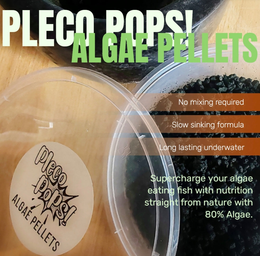 Pleco Pops! Algae Pellets 250ml Tub