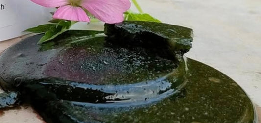 Pleco Pops! Powder Mix Gel Fish Food - 40g