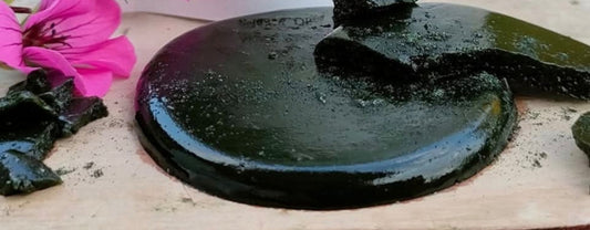 JUMBO Pleco Pops! Algae Grazer - 175g