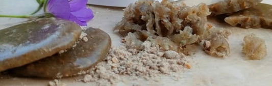 JUMBO Pleco Pops! Crickie Dough - 175g